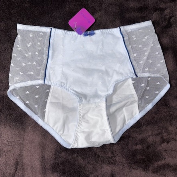 Light blue and white Menstrual Panties with sheer fabric. Lolita period pantie… - Picture 1 of 6